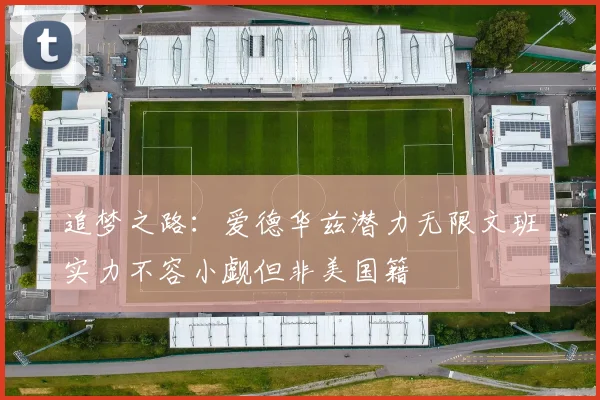 追梦之路：爱德华兹潜力无限文班实力不容小觑但非美国籍