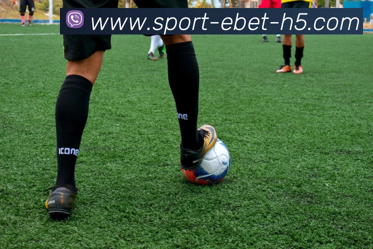 易倍体育发展历程