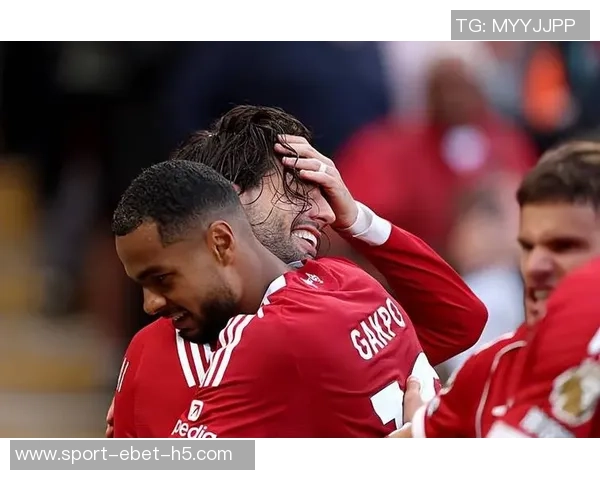 戈麦斯飞踹维尔茨引发争议前英裁判主管称应严惩罚下场